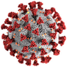Corona Virus cases in India